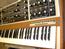 Tidy Memory Moog