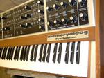 Tidy Memory Moog