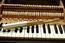 Fender Rhodes sparkle bass