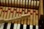 Fender Rhodes sparkle bass