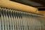 Fender Rhodes sparkle bass