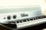 Fender Rhodes sparkle bass