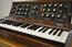Nicky's Minimoog