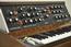 Nicky's Minimoog