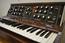Nicky's Minimoog