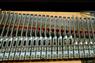 SILVER SPARKLE  FENDER RHODES BASS c1970 restoration