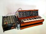 Simon C custom restored minimoog D