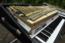 Fender Rhodes Stage 73 Elvis Costello