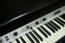 Fender Rhodes Stereo 88 MK2. Portishead now back in the studio sounding sweet for a MK2